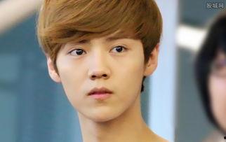 娱乐猛料大爆料鹿晗,独家爆料背后的故事